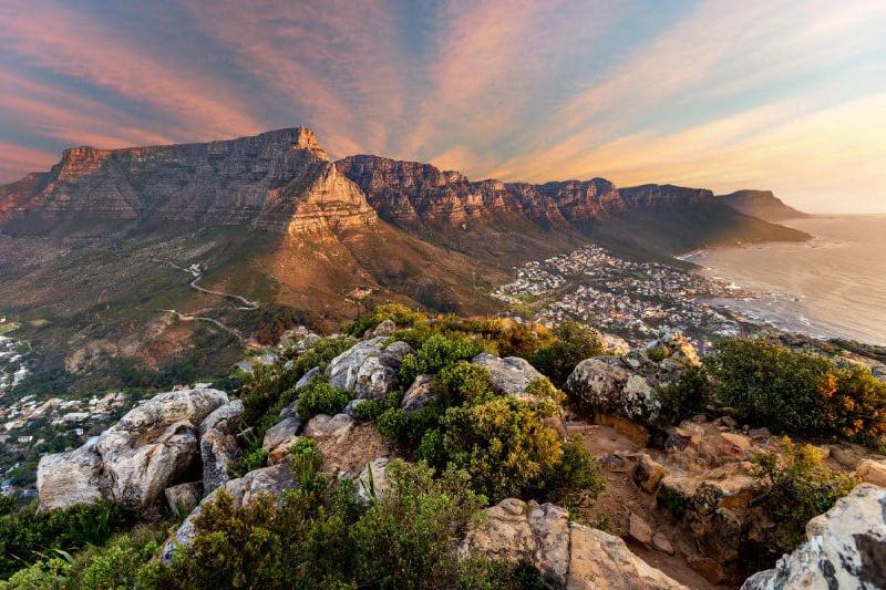 Featured image of post Table Mountain