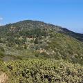 Reyes Peak